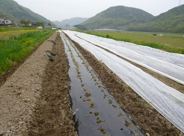 20120426144835