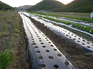 20120515171839