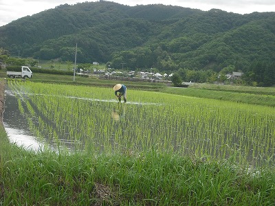 DSCF4206_s.jpg